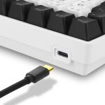 Sharkoon SKILLER SGK50 S3 Tastatur Gaming USB QWERTZ Deutsch Weiß