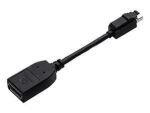 PNY Adapter mini Display Port (St) -> DsiplayPort...