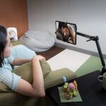 AVerMedia Live Streamer Arm BA311L, Tisch-Microfonständer