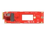 DELOCK Konverter EDSFF E1.S zu M.2 Key M Slot NVMe
