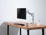Equip 17"-32" Bewegliche Monitor/LCD-Tischhalterung