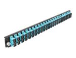 DELOCK 19" LWL Spleißbox Frontblende 24 Port SC Duplex aqua