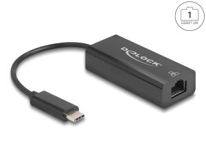 DELOCK USB 2.0 Type-C Adapter zu 10/100 Mbps LAN