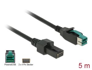 DELOCKPowered USB Kabel 12V St > 2x4Pin St 5.0m