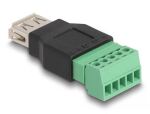 DeLOCK USB 2.0 Typ-A Buchse zu Terminalblock Adapter 2-teilig
