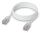 Ubiquiti UACC-Cable-Patch-EL-C6A-1M-W Netzwerkkabel Durchscheinend, Weiß Cat6a