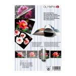Olympia 9165 Laminierhülle 100 Stück(e)