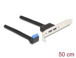 DeLOCK Slotblech 1 x USB 5 Gbps Pfostenbuchse 90° gewinkelt zu 2 x USB 5 Gbps Typ-A Buchse 50 cm