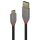 Lindy 36910 USB Kabel 0,5 m USB C USB A 10 Gbit/s Schwarz, Grau