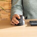 R-Go Tools Ergonomische Maus R-Go HE Break mit Pausensoftware, groß (Handlänge ≥ 185mm), für Rechtshänder, bluetooth, schwarz
