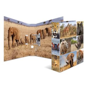 HERMA 7168 Ringmappe A4 Mehrfarbig
