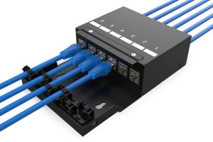Digitus DN-93708-6 Netzwerkanschlussdose Schwarz