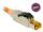 DELOCK RJ45 Stecker feldkonfektionierbar Cat.8 Metall