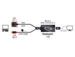 DeLOCK 0.3m, DVI 24+1 + USB-A/Displayport 20p 0,3 m DVI-D + USB HDMI Schwarz