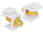 Keystone Delock SMA Buchse