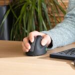 R-Go Tools Ergonomische Maus R-Go HE Break mit Pausensoftware, medium (Handlänge 165-185mm), Rechtshänder, bluetooth, schwarz