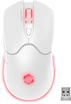 SPEEDLINK SL-680102-WT Maus Gaming rechts RF Wireless + USB Type-A Optisch 4800 DPI