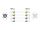 DELOCK M12 Kabel X-kodiert 8 Pin Stecker zu Buchse PVC 5 m