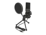 DeLOCK USB Kondensator Mikrofon Set - für Podcasting, Gaming und Gesang