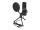 DeLOCK USB Kondensator Mikrofon Set - für Podcasting, Gaming und Gesang