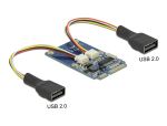 DELOCK Mini PCIe I/O full size 2 x USB 2.0 Typ-A Buchse