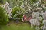 Gardena 13302-20 Bewässerungssystemteil & -Zubehör Tropfer