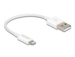 DELOCK USB Daten-/Ladekabel iPhone/iPad/iPod 15cm weiß