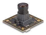 DELOCK USB 2.0 Kameramodul 2,1 Megapixel 84° V6 Fixfokus