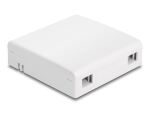DeLOCK LWL Anschlussdose zur Wandmontage für 2 x SC Simplex oder LC Duplex weiß