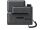 Fanvil V66 IP-Telefon Dunkles Grau 20 Zeilen IPS WLAN