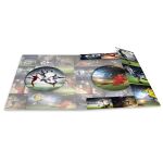 HERMA 19298 Ringmappe A4