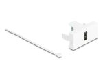 DELOCK Easy 45 Modul USB 2.0 Typ-A Buchse zu Terminalblock