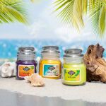 Candle Brothers Duftkerzen Set Beach Bar - 3 x 85g