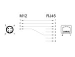 DELOCK NetzwerkadapterM12 4 Pin D-kodiert Stecker zu RJ45 BU