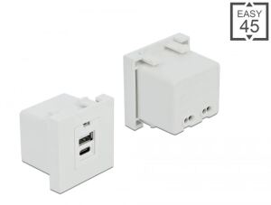 DELOCK Easy 45 USB Ladeportmodul 1 x USB-A + 1 x USB-C