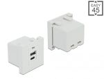 DELOCK Easy 45 USB Ladeportmodul 1 x USB-A + 1 x USB-C