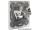 DeLOCK 86202 Steckdose