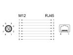 DeLOCK Netzwerkadapter M12 8 Pin X-kodiert Stecker zu RJ45 Buchse