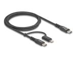 DELOCK USB2 in 1Kabel USB Type-C zu Type-C/Lightning 1m MFI
