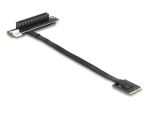 DELOCK M.2 Key A+E > PCIe x8 NVMe Adapter gew. 20cm Kabel