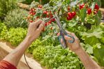 Gardena 13330-20 Tropfbewässerungssystem
