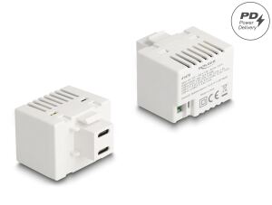 DELOCK Keystone Modul mit 2 x USB Type-C Ladebuchsen PD 20 W