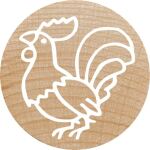 Colop 165225