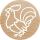 Colop 165225