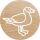 Colop 165225