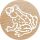 Colop 165225