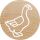 Colop 165225