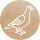 Colop 165224