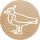 Colop 165224