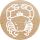 Colop 165224